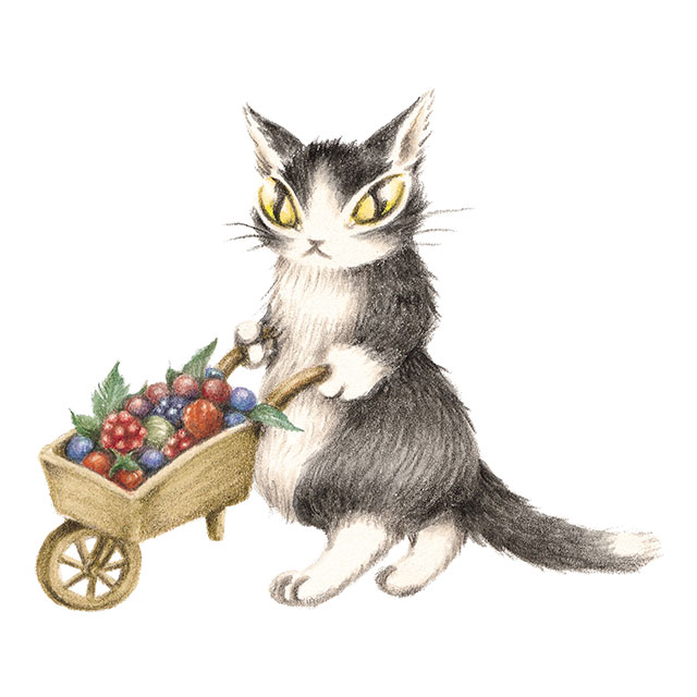 ジタン - わちふぃーるど(猫のダヤン)のキャラクター紹介